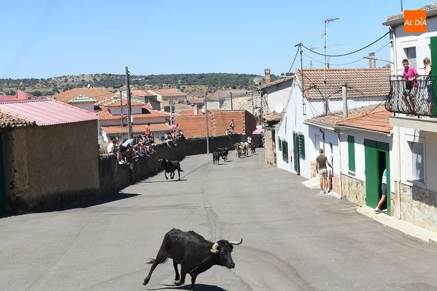 fiestas san lorenzo el bodon