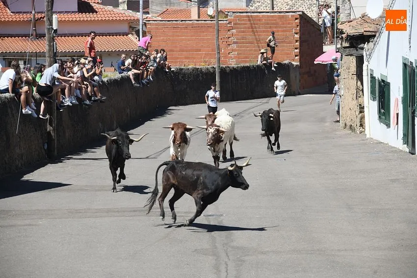 fiestas san lorenzo el bodon