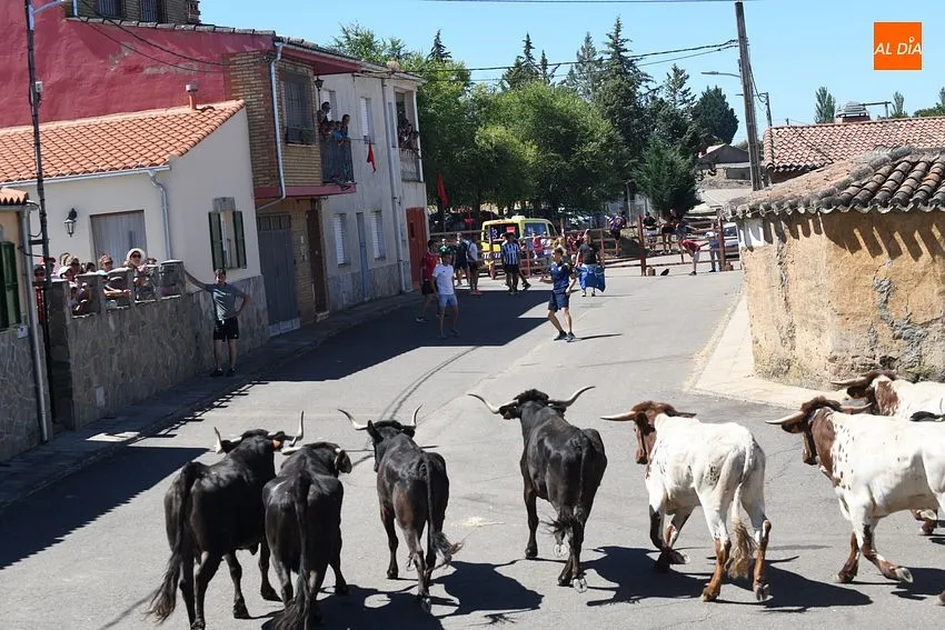 fiestas san lorenzo el bodon