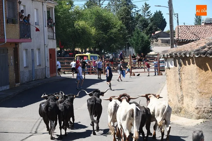 fiestas san lorenzo el bodon