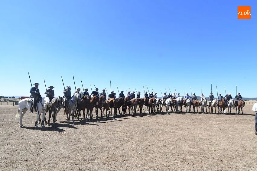 Foto 8 - La &uacute;nica collera de Castilla-La Mancha se lleva el 40&ordm; Concurso de Faenas y Doma de Campo