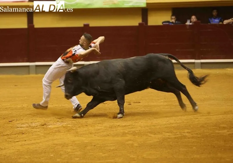 Foto 19 - Iv&aacute;n Gonz&aacute;lez gana el concurso de cortes en Alba de Tormes