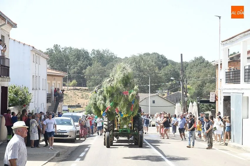 izado pino villasrrubias