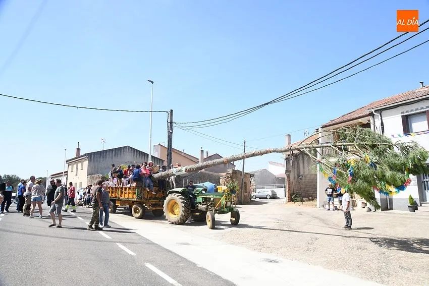 izado pino villasrrubias