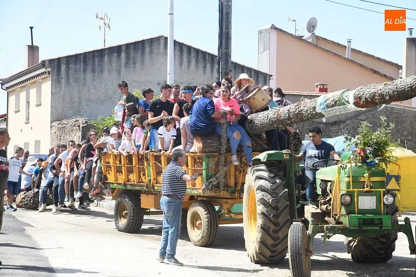 izado pino villasrrubias
