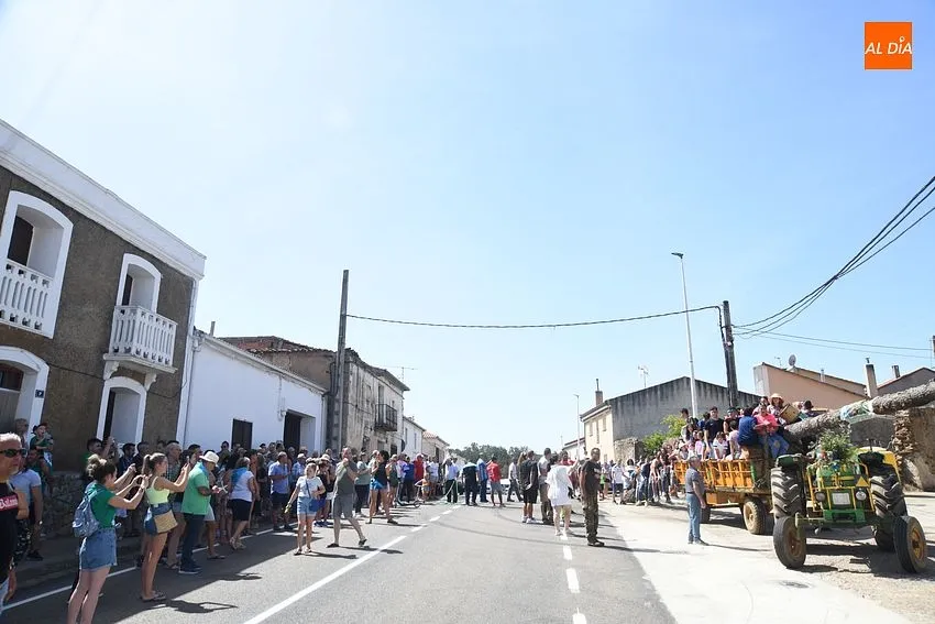 izado pino villasrrubias