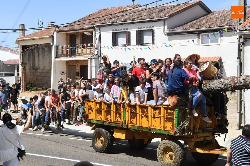 izado pino villasrrubias