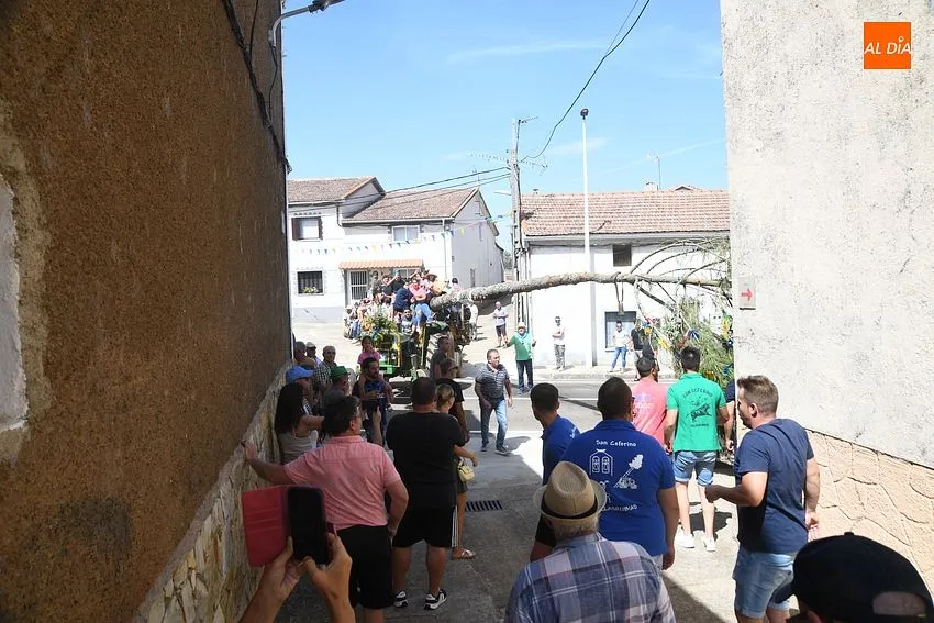 izado pino villasrrubias