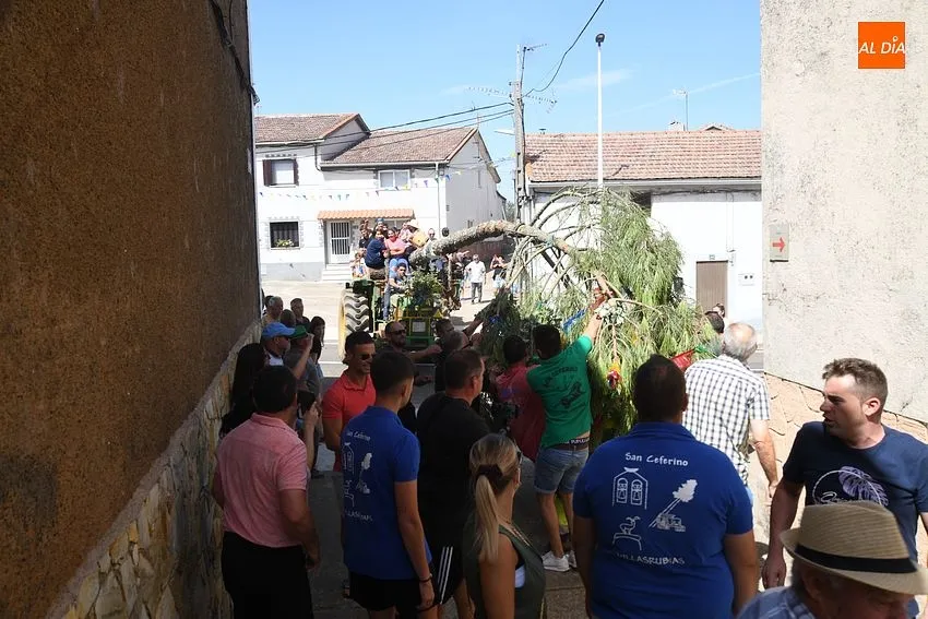 izado pino villasrrubias