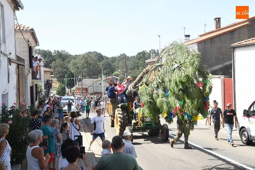 izado pino villasrrubias