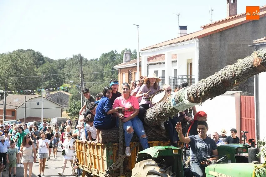 izado pino villasrrubias