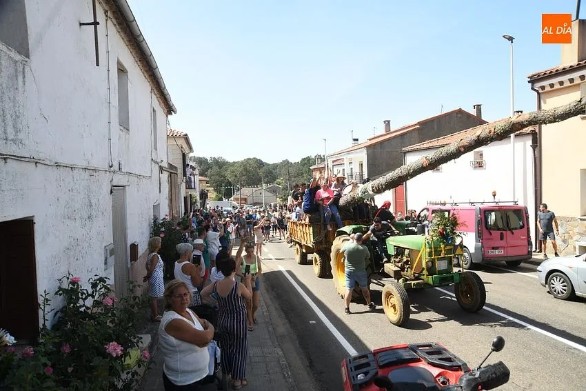 izado pino villasrrubias