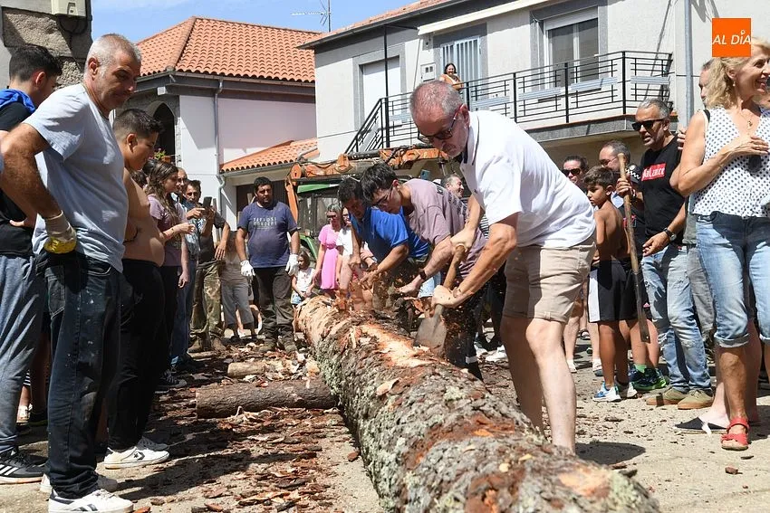 izado pino villasrrubias