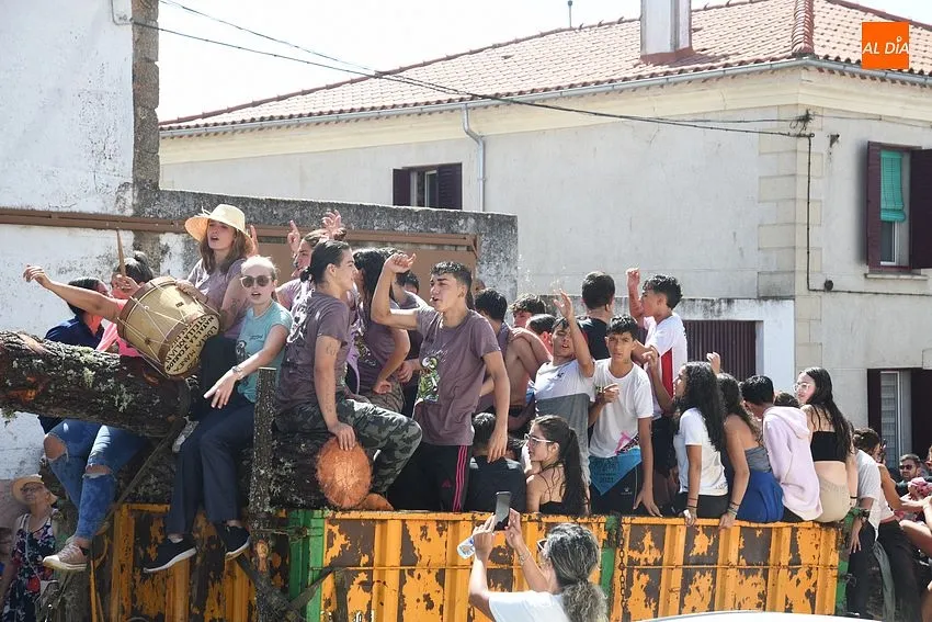 izado pino villasrrubias