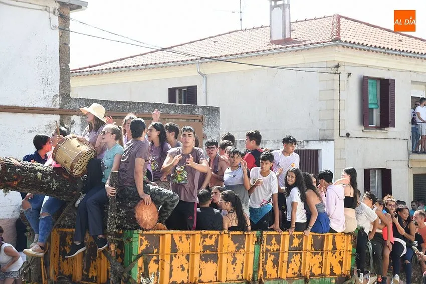 izado pino villasrrubias