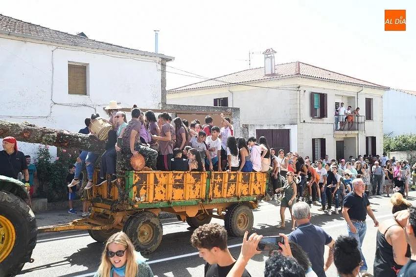 izado pino villasrrubias