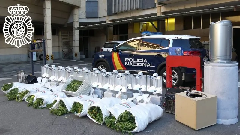 Marihuana intervenida en esta operación en Peñasolana