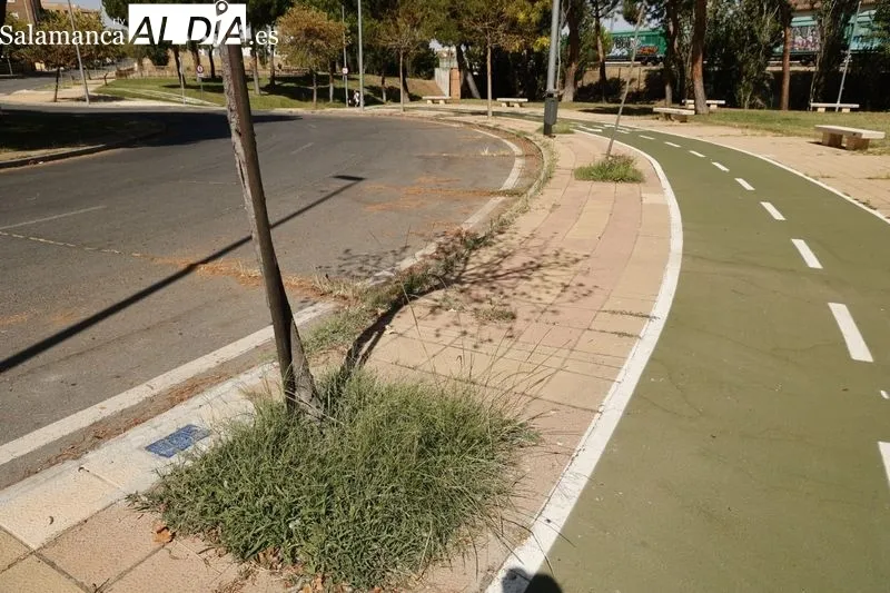 Parque del Barrio de los Alcaldes. Foto de David Sañudo