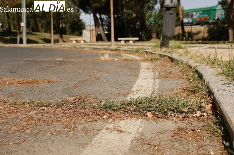 Parque del Barrio de los Alcaldes. Foto de David Sañudo
