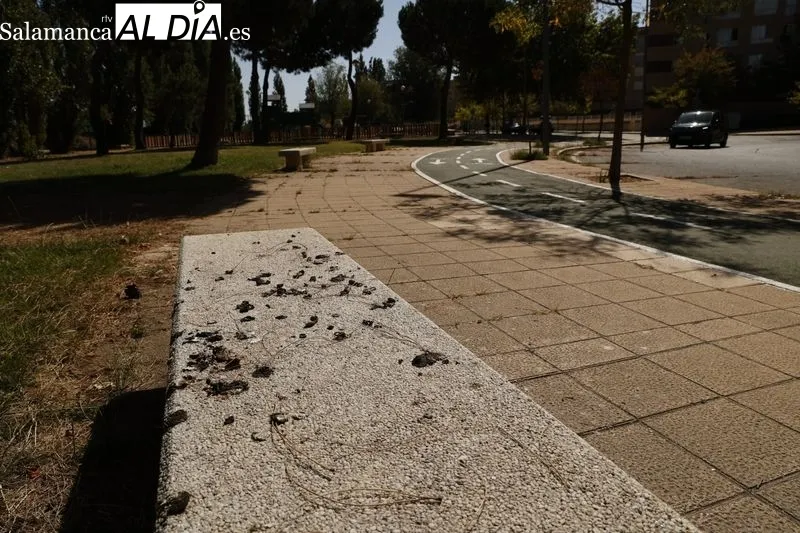 Parque del Barrio de los Alcaldes. Foto de David Sañudo