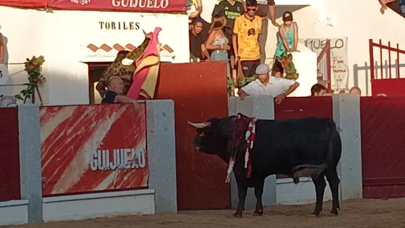 Foto 5 - Hermoso de Mendoza indulta un toro de Capea en una apote&oacute;sica tarde de rejoneo en Guijuelo