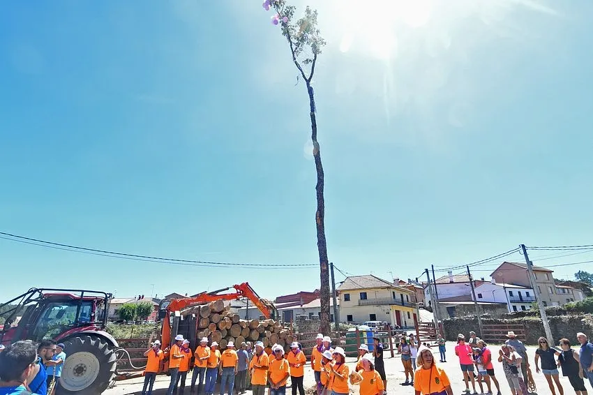 Foto 9 - La izada del roble por quintos del 58 sustituye al pino de San Juan de la quinta de 2023