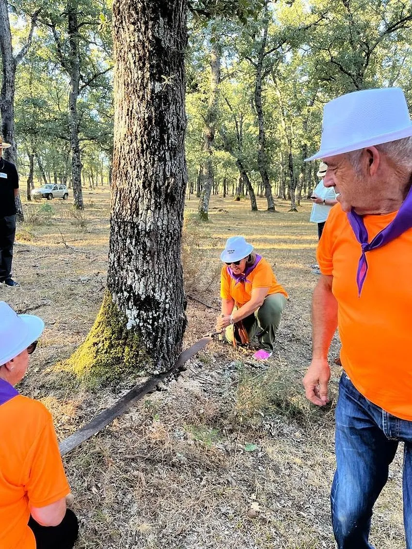Foto 6 - La izada del roble por quintos del 58 sustituye al pino de San Juan de la quinta de 2023