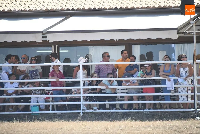 faenas doma y campo ciudad rodrigo