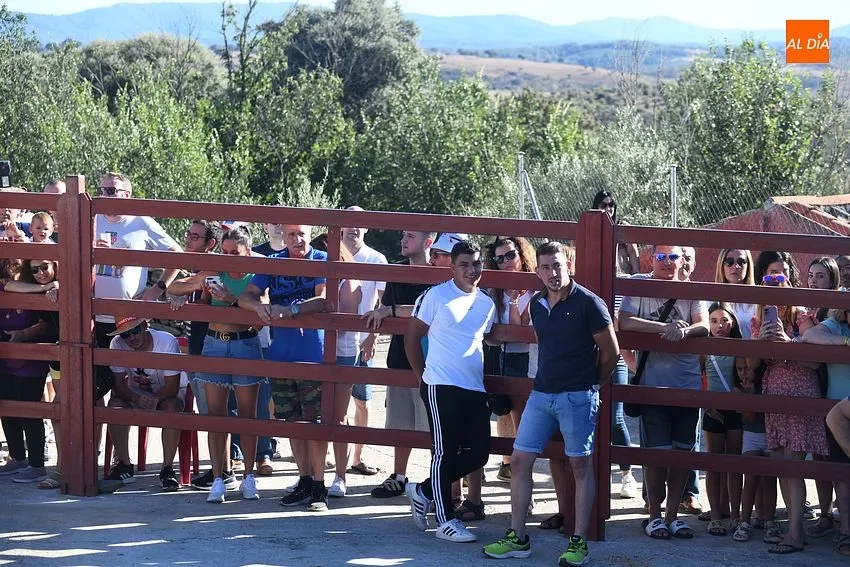 vaquillas la atalaya