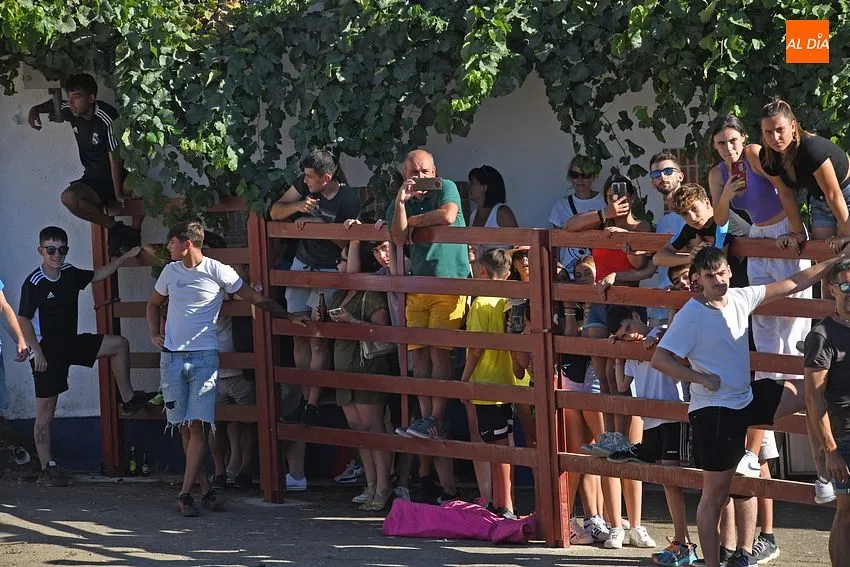 vaquillas la atalaya