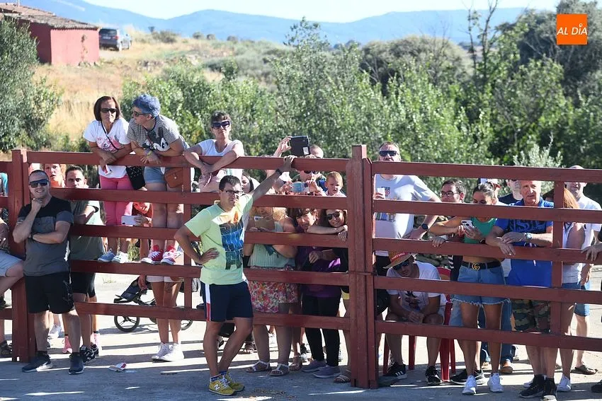 vaquillas la atalaya