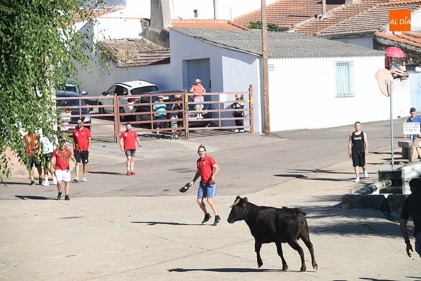 vaquillas saelices el chico