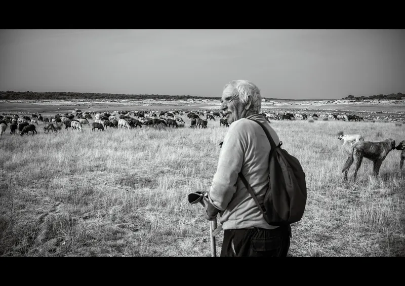 Fotografía: ‘Muerte y vida’, de Sergio Camacho.