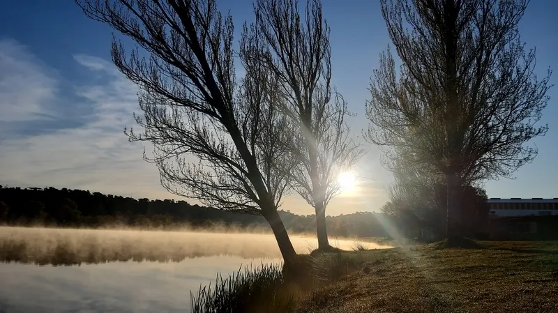 Fotografía: ‘Brumas’, de Sofía Martín.