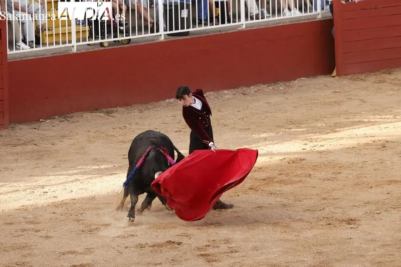 Foto 7 - Pedro Andr&eacute;s, Manuel Tabernero y &ldquo;El Mene&rdquo; se exhiben con tres novillos de la ganader&iacute;a de Escudero de Cortos