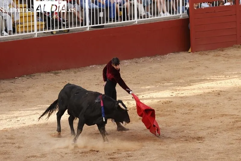 Foto 6 - Pedro Andr&eacute;s, Manuel Tabernero y &ldquo;El Mene&rdquo; se exhiben con tres novillos de la ganader&iacute;a de Escudero de Cortos