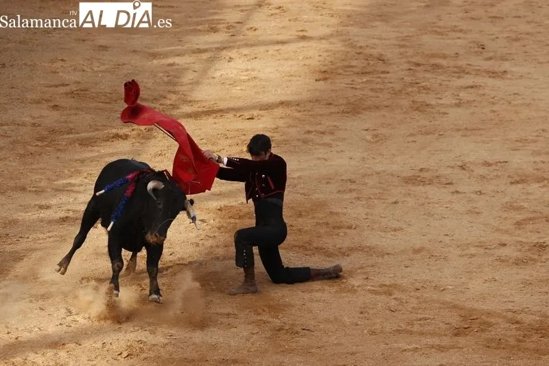 Foto 2 - Pedro Andr&eacute;s, Manuel Tabernero y &ldquo;El Mene&rdquo; se exhiben con tres novillos de la ganader&iacute;a de Escudero de Cortos