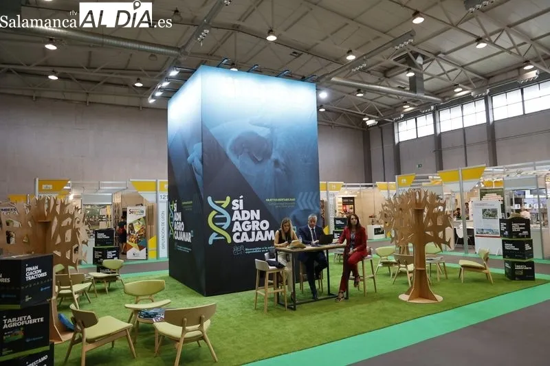 Foto 10 - Las empresas, protagonistas un a&ntilde;o m&aacute;s en Salamaq