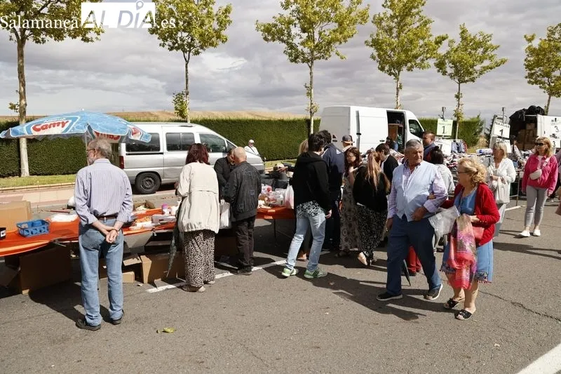 El Rastro, este domingo en la avenida Carmen Martín Gaite. Fotos: David Sañudo
