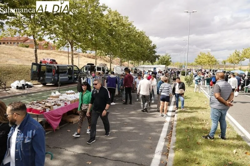 El Rastro, este domingo en la avenida Carmen Martín Gaite. Fotos: David Sañudo