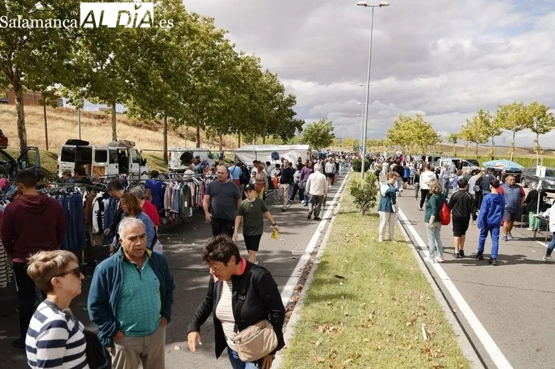 El Rastro, este domingo en la avenida Carmen Martín Gaite. Fotos: David Sañudo