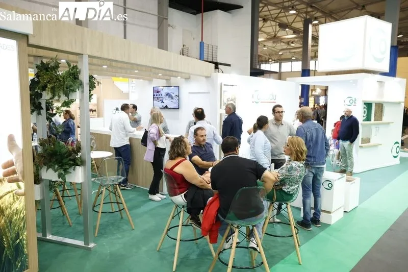Ambiente en la tarde de este domingo en Salamaq. Fotos: David Sañudo