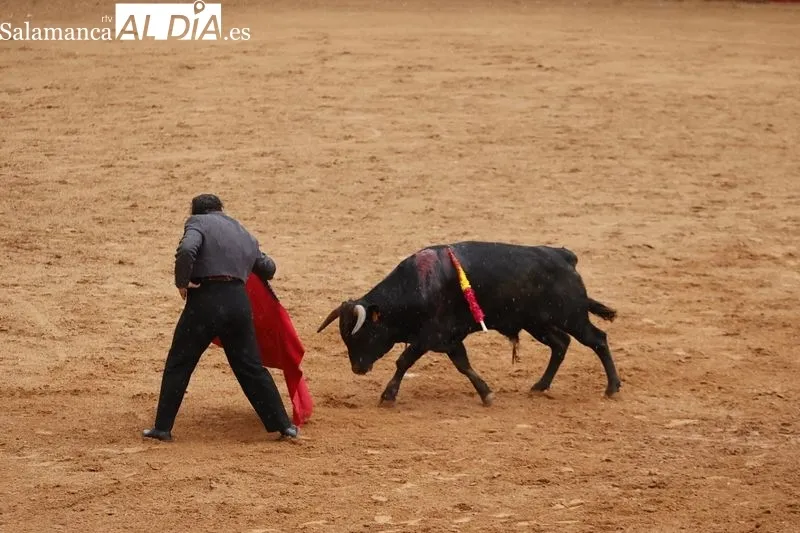 Clase práctica de la Escuela de Tauromaquia en Salamaq- Fotos: David Sañudo