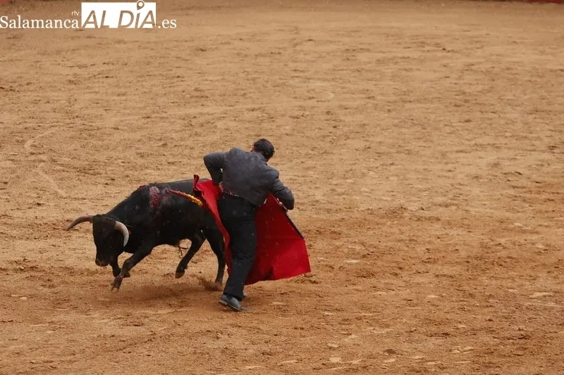 Clase práctica de la Escuela de Tauromaquia en Salamaq- Fotos: David Sañudo