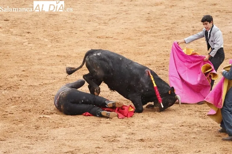 Clase práctica de la Escuela de Tauromaquia en Salamaq- Fotos: David Sañudo