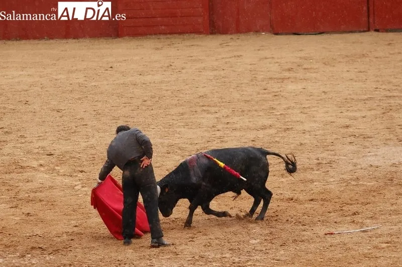 Clase práctica de la Escuela de Tauromaquia en Salamaq- Fotos: David Sañudo
