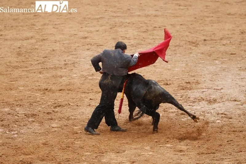 Clase práctica de la Escuela de Tauromaquia en Salamaq- Fotos: David Sañudo