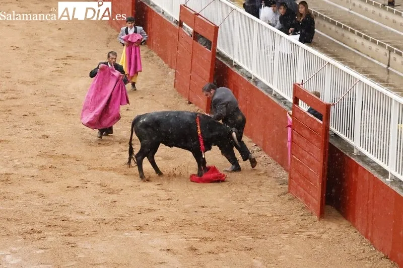 Clase práctica de la Escuela de Tauromaquia en Salamaq- Fotos: David Sañudo