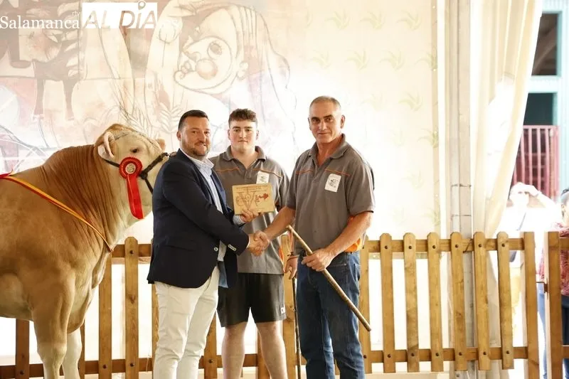 Foto 4 - Los campeones de Limusin, Charol&eacute;s y Blonda se lucen en Salamaq