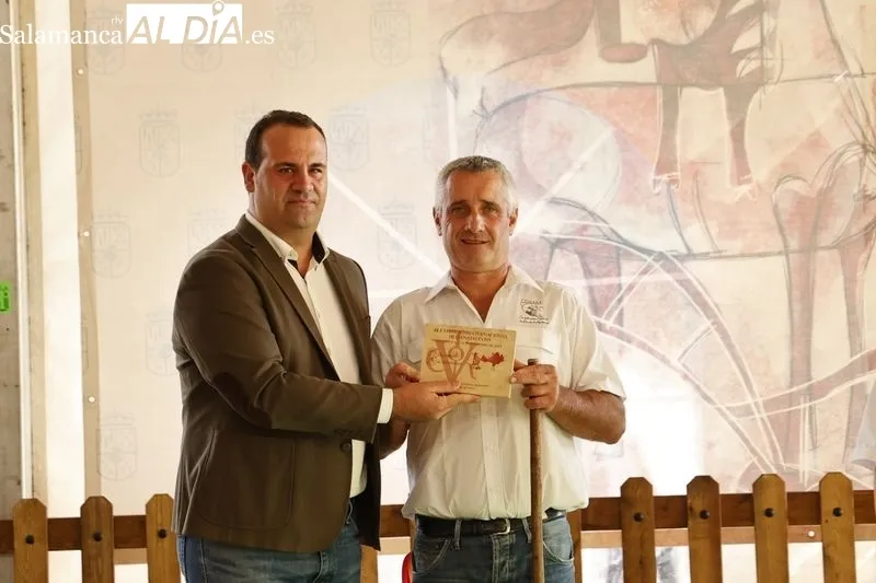 Foto 9 - Los campeones de Limusin, Charol&eacute;s y Blonda se lucen en Salamaq